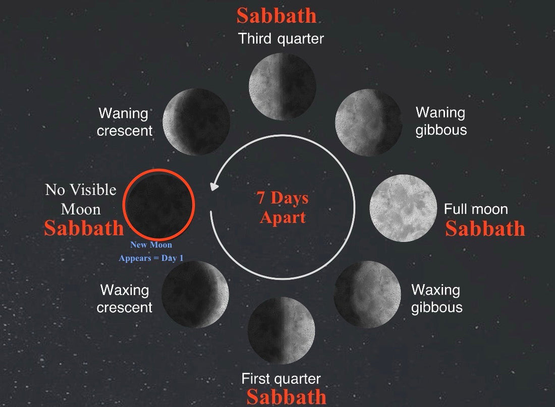 Lunar Sabbath cycle showing the No Visible Moon, First Quarter, Full Moon, and Third Quarter Sabbaths seven days apart.