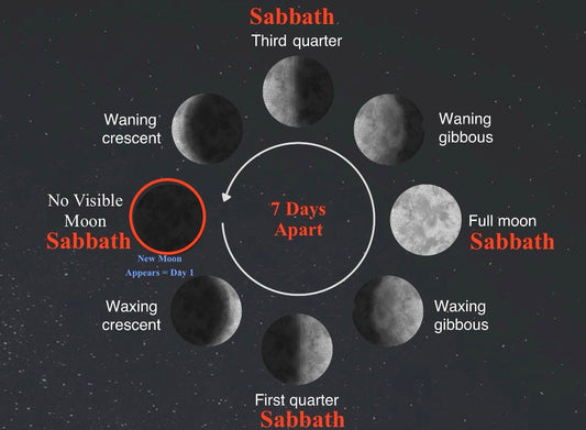 Lunar Sabbath cycle showing the No Visible Moon, First Quarter, Full Moon, and Third Quarter Sabbaths seven days apart.