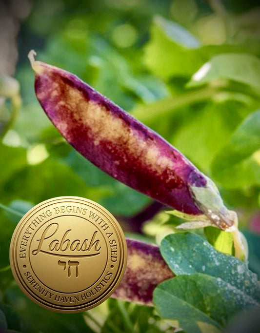 Labash™ Speckled Pea Seeds