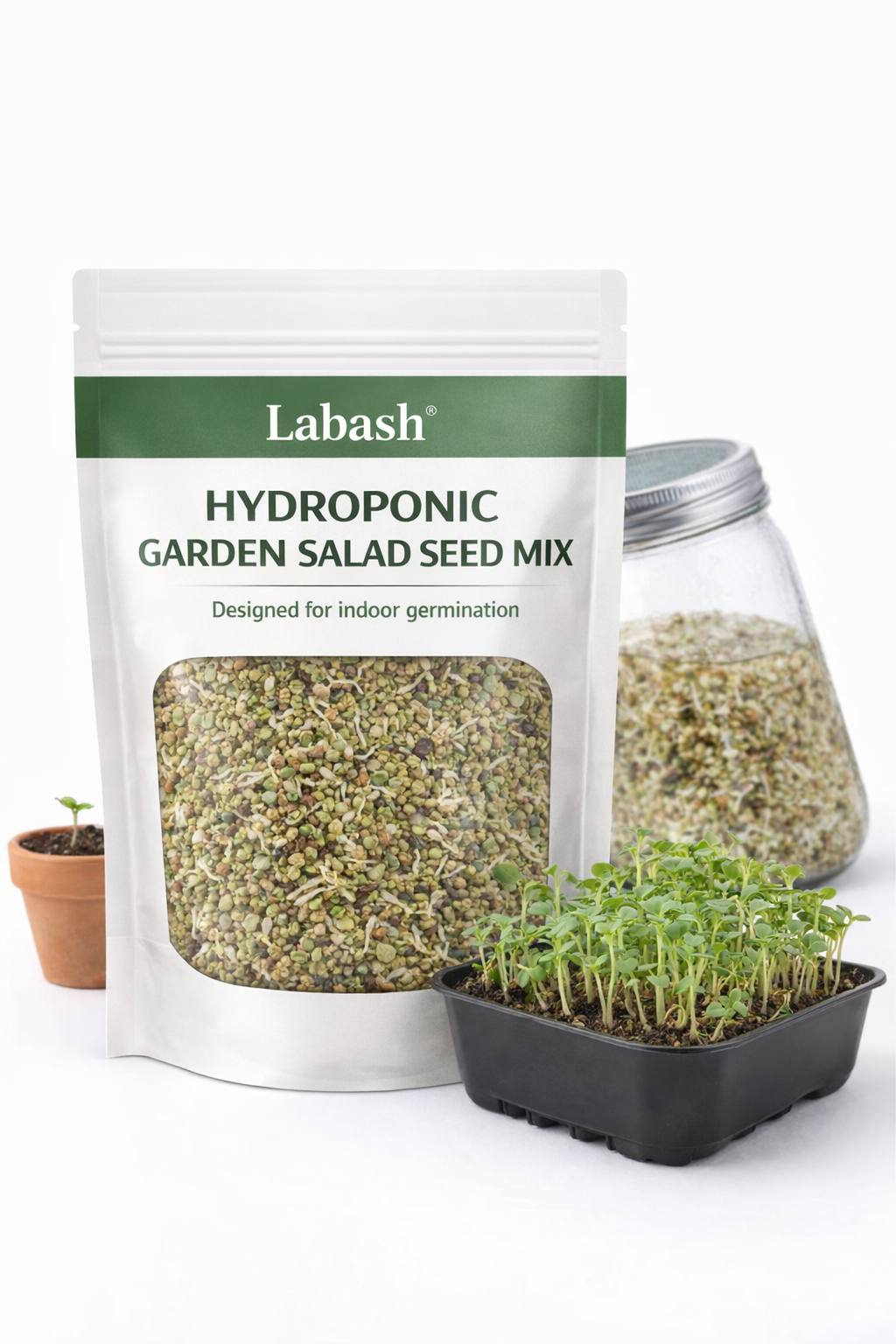 Raphah Living™️ Seed Mix