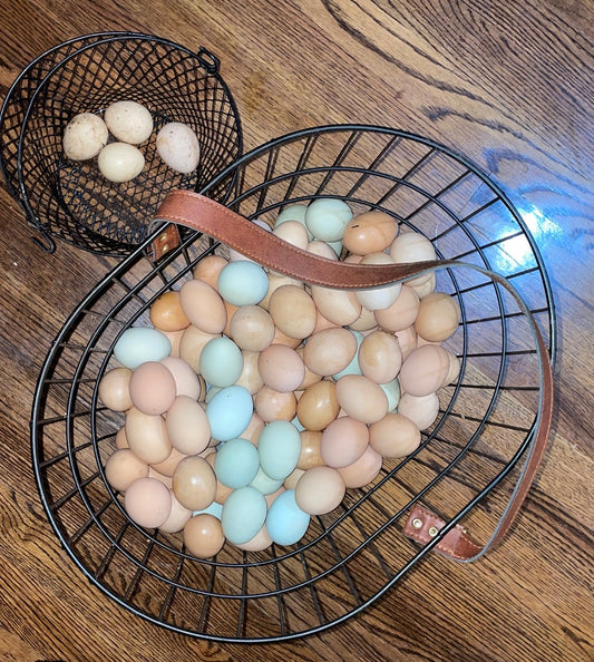 Fresh Chicken Eggs