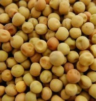 Labash™ Dun Pea Seeds