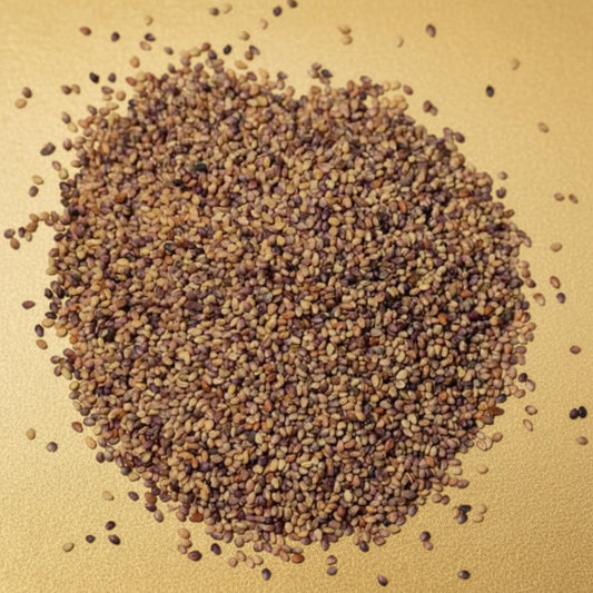 Labash™ Red Clover Seeds