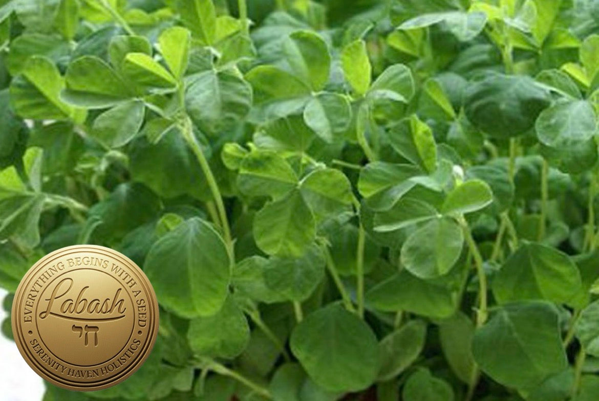 Labash® Fenugreek Seeds