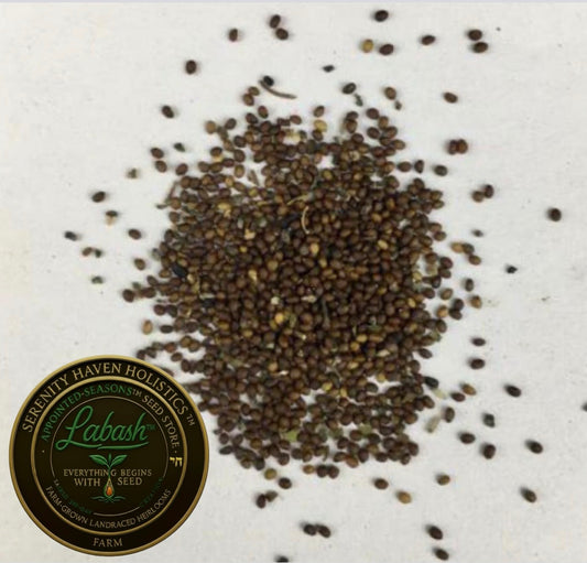 Landraced™️ Holy Basil (Tulsi) - Seeds by Labash™️